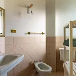 Su Trigu, Primo Piano
